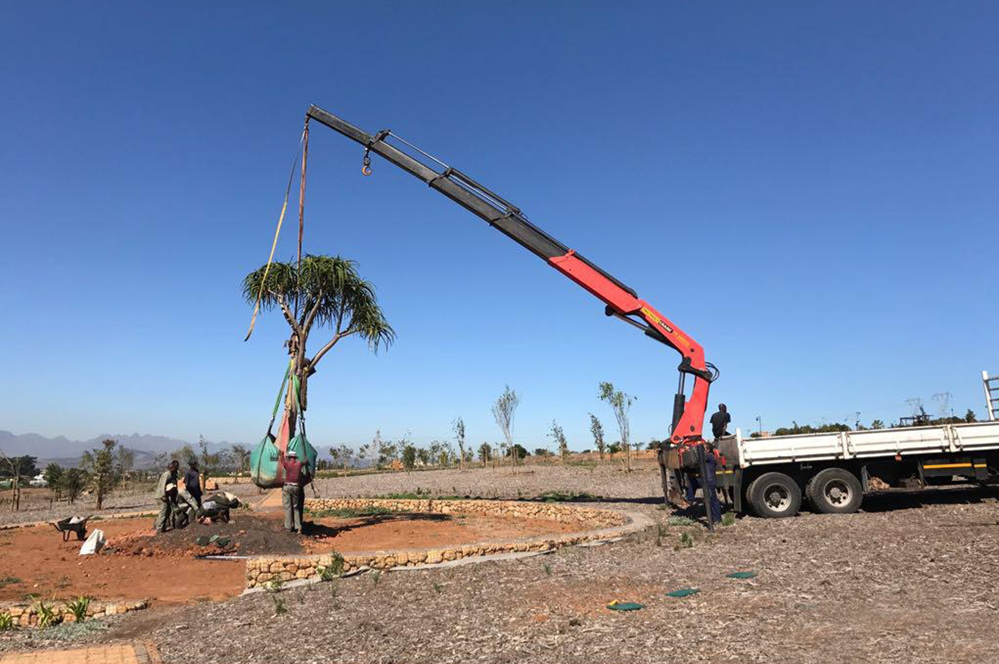 Fontein Estate tree getting hoisted by crane