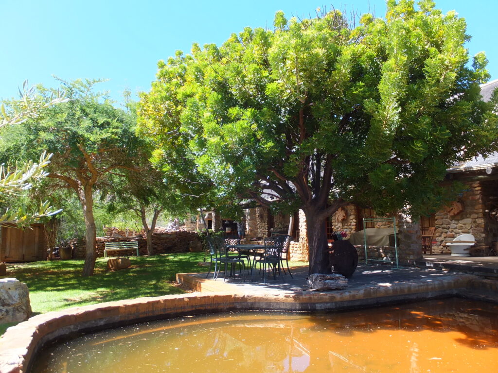slanghoek karoo trees 2018