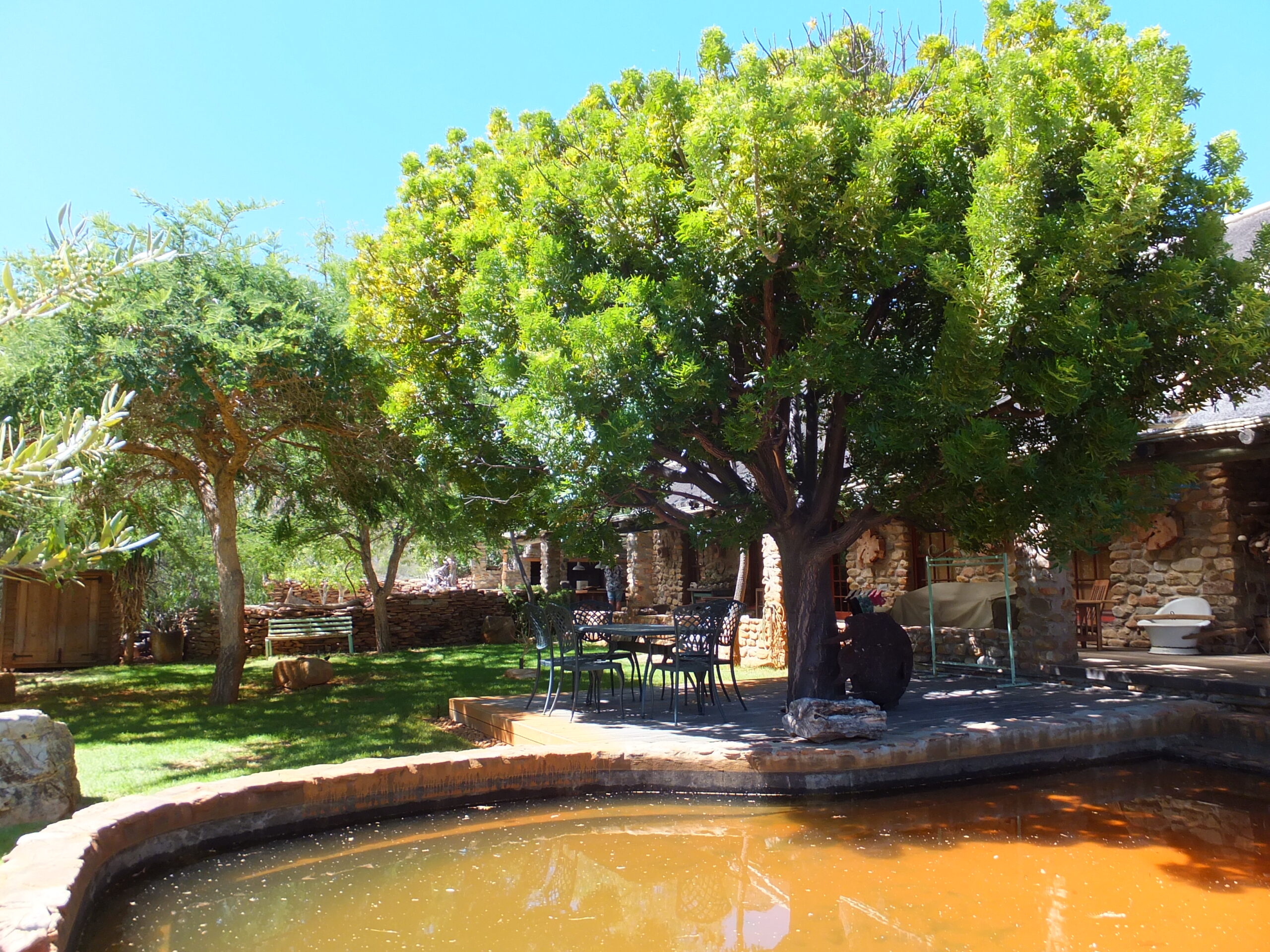slanghoek karoo trees 2018