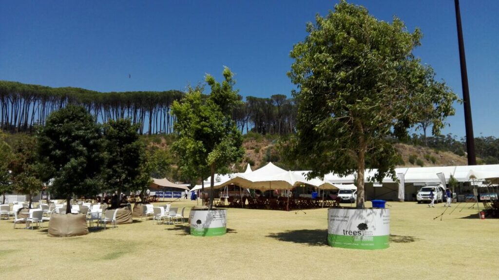 wine; festival; trees