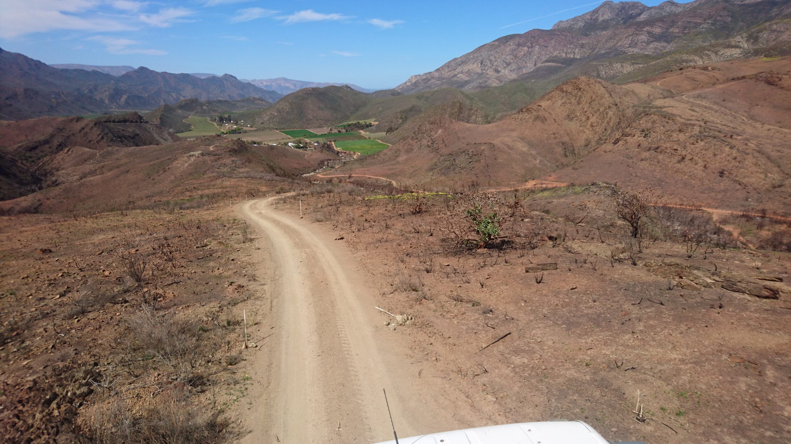 heimo montagu road