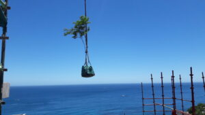 Mrs Lambert camps bay scaffold challenging planting (18)