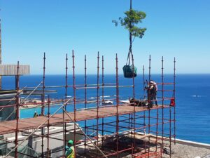 Mrs Lambert camps bay scaffold challenging planting (22)