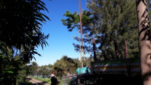 Mrs Lambert camps bay scaffold challenging planting (6)
